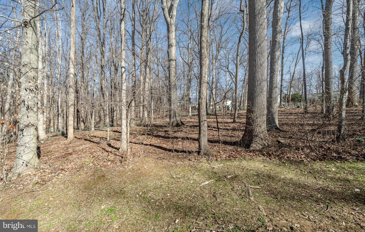 405 Rustmont Drive #405 photo 32