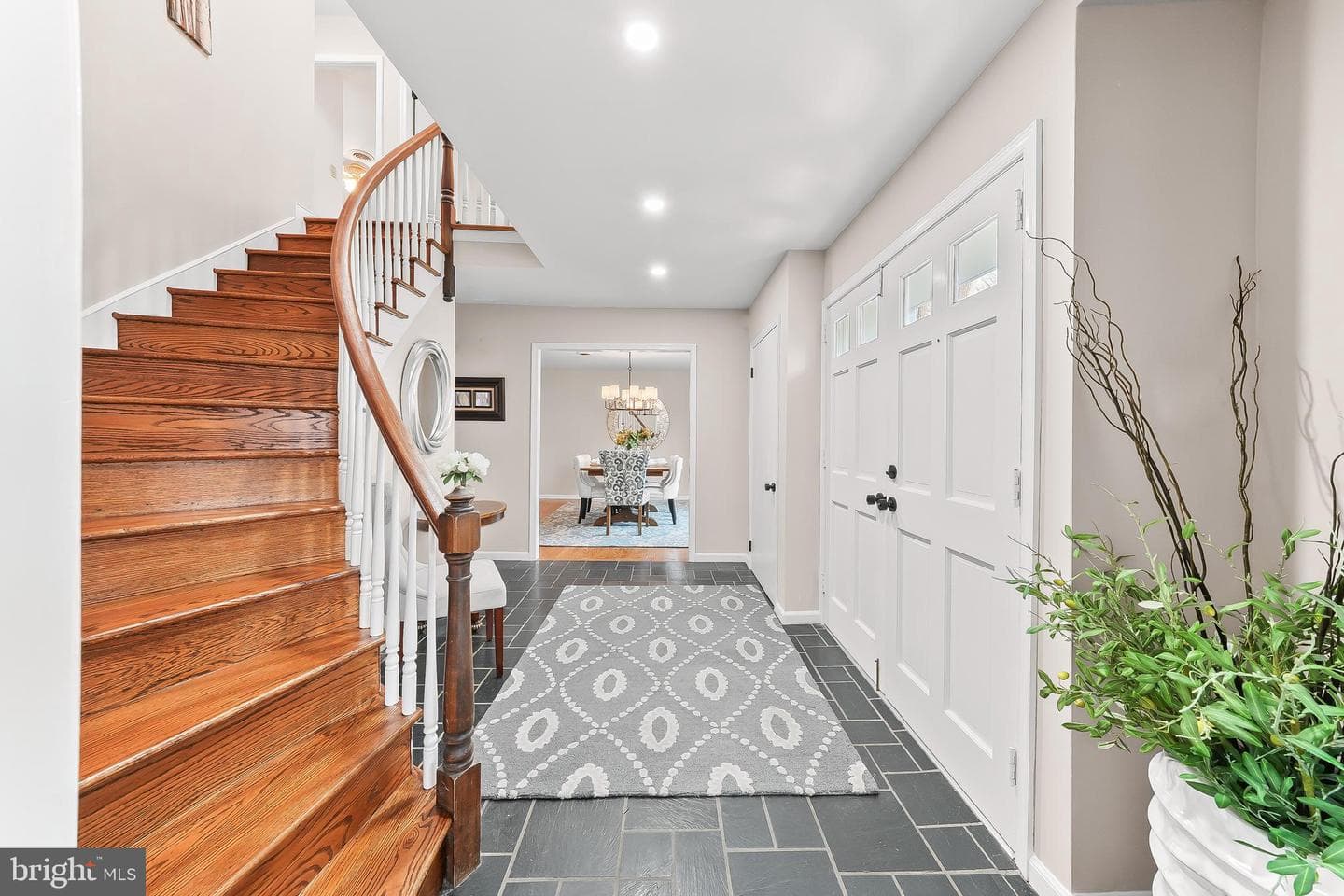 38 Fawn Lane photo 5