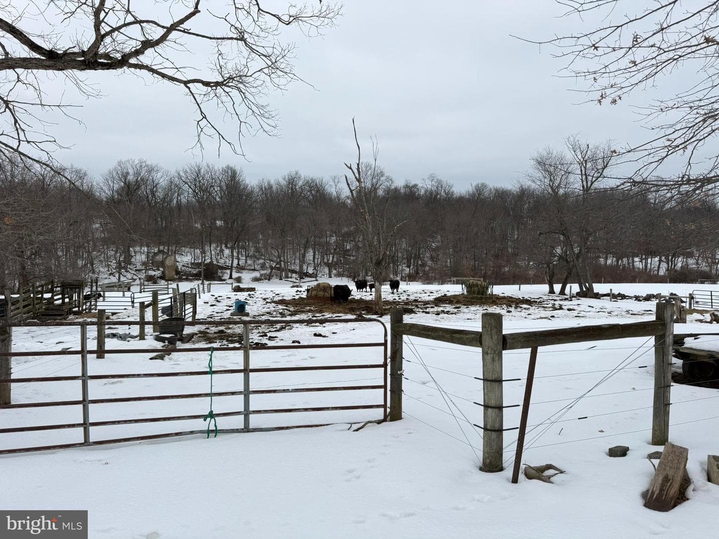 280 Mapleflower Road photo 18