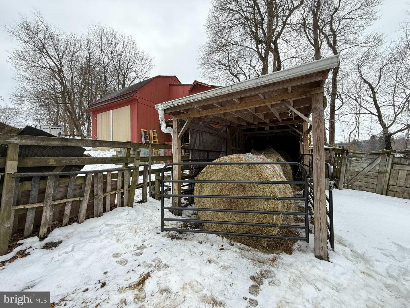280 Mapleflower Road photo 24