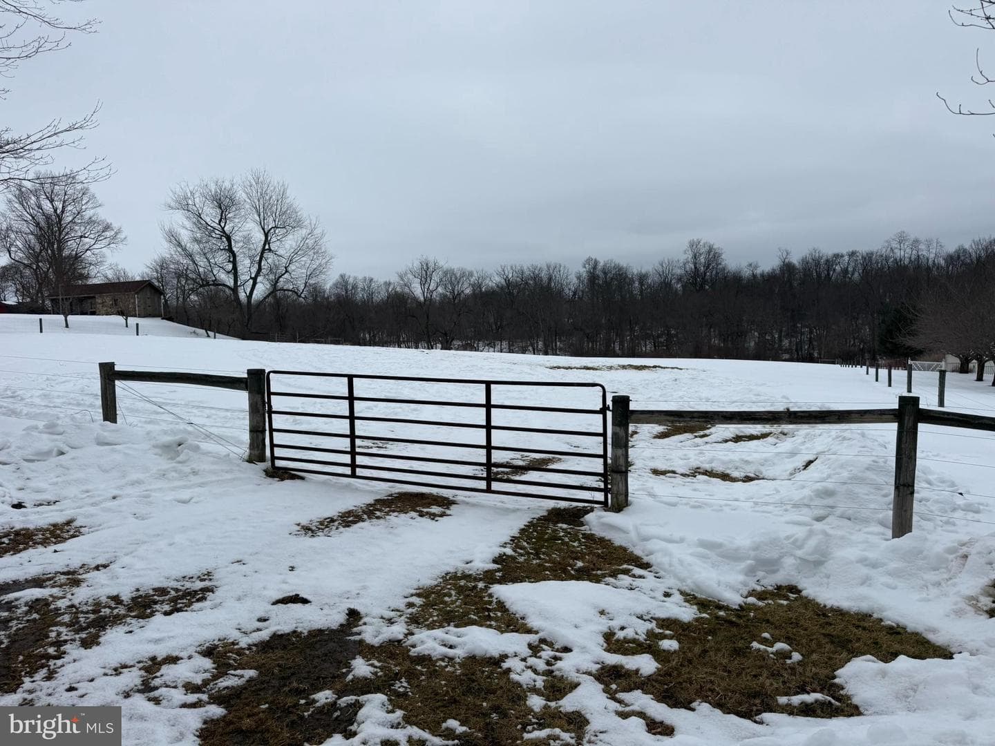 280 Mapleflower Road photo 29