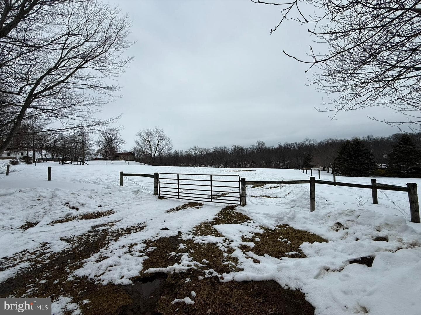 280 Mapleflower Road photo 32