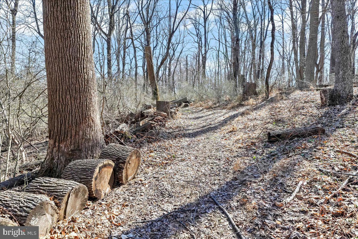 1850 Brooks Road photo 54