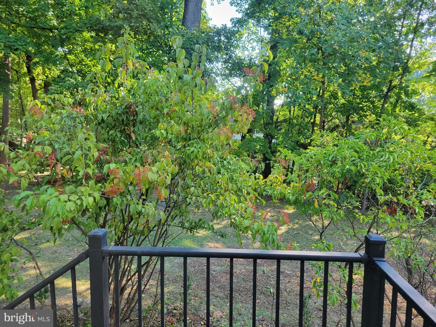 57 Grubb Road photo 42