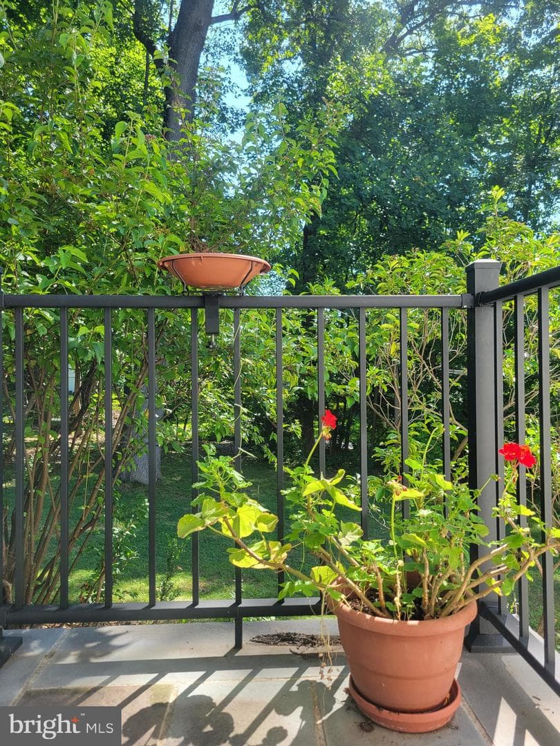 57 Grubb Road photo 43