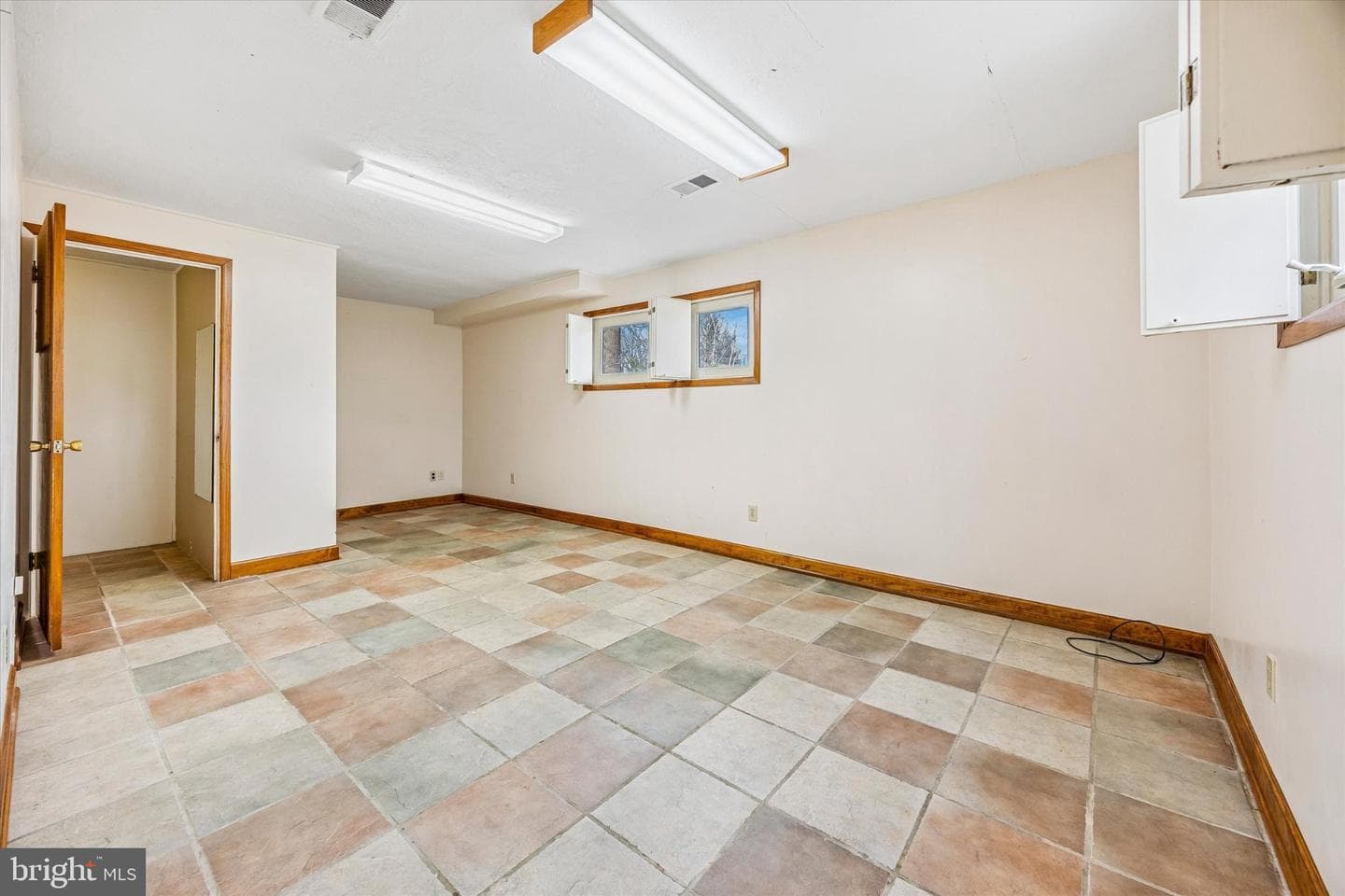 675 Trephanny photo 26