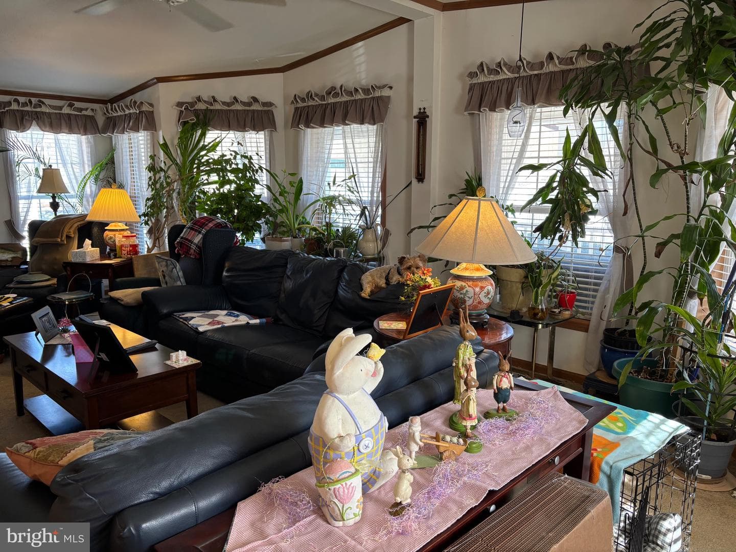 611 Farmland Way photo 10