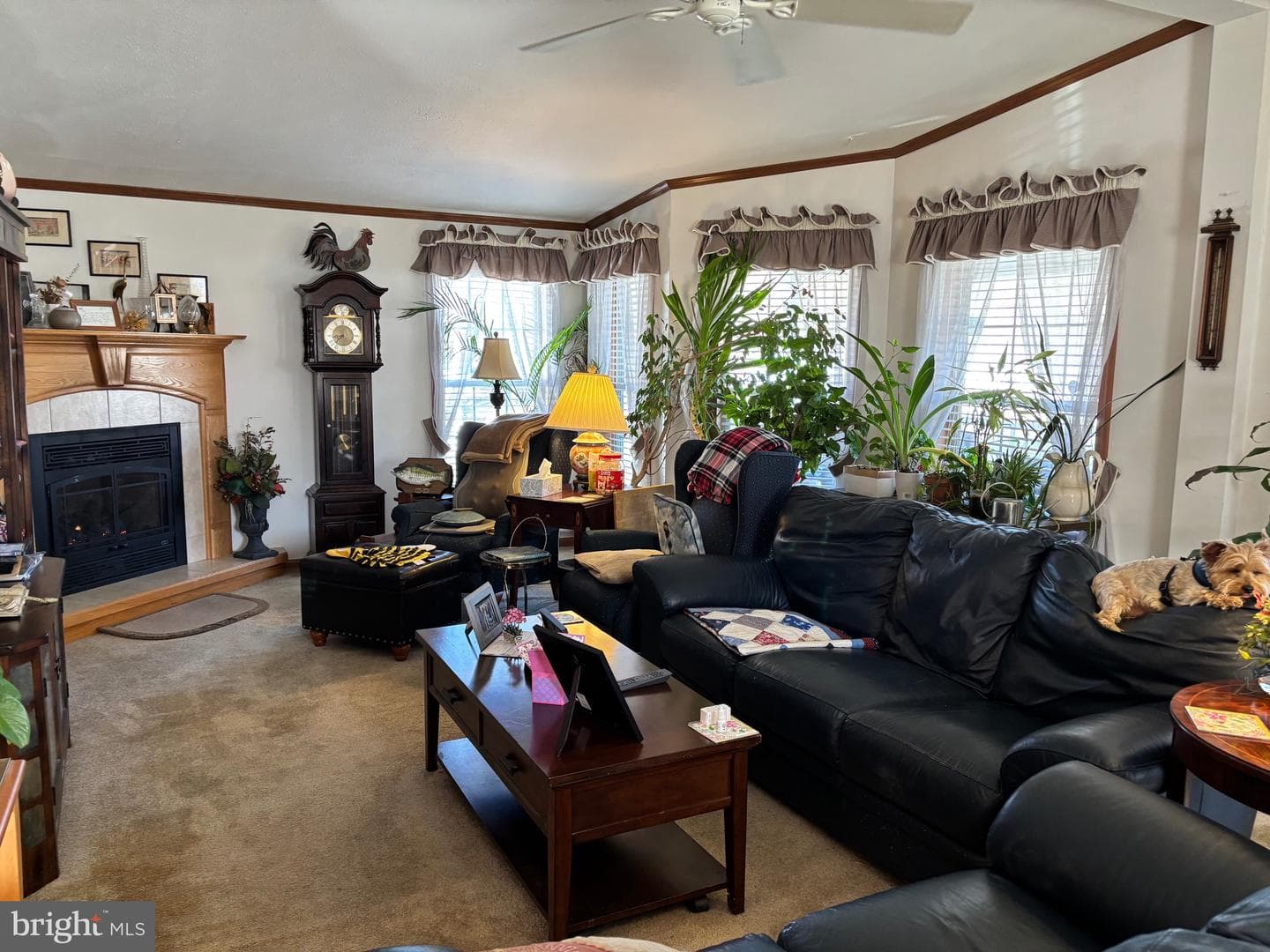 611 Farmland Way photo 7