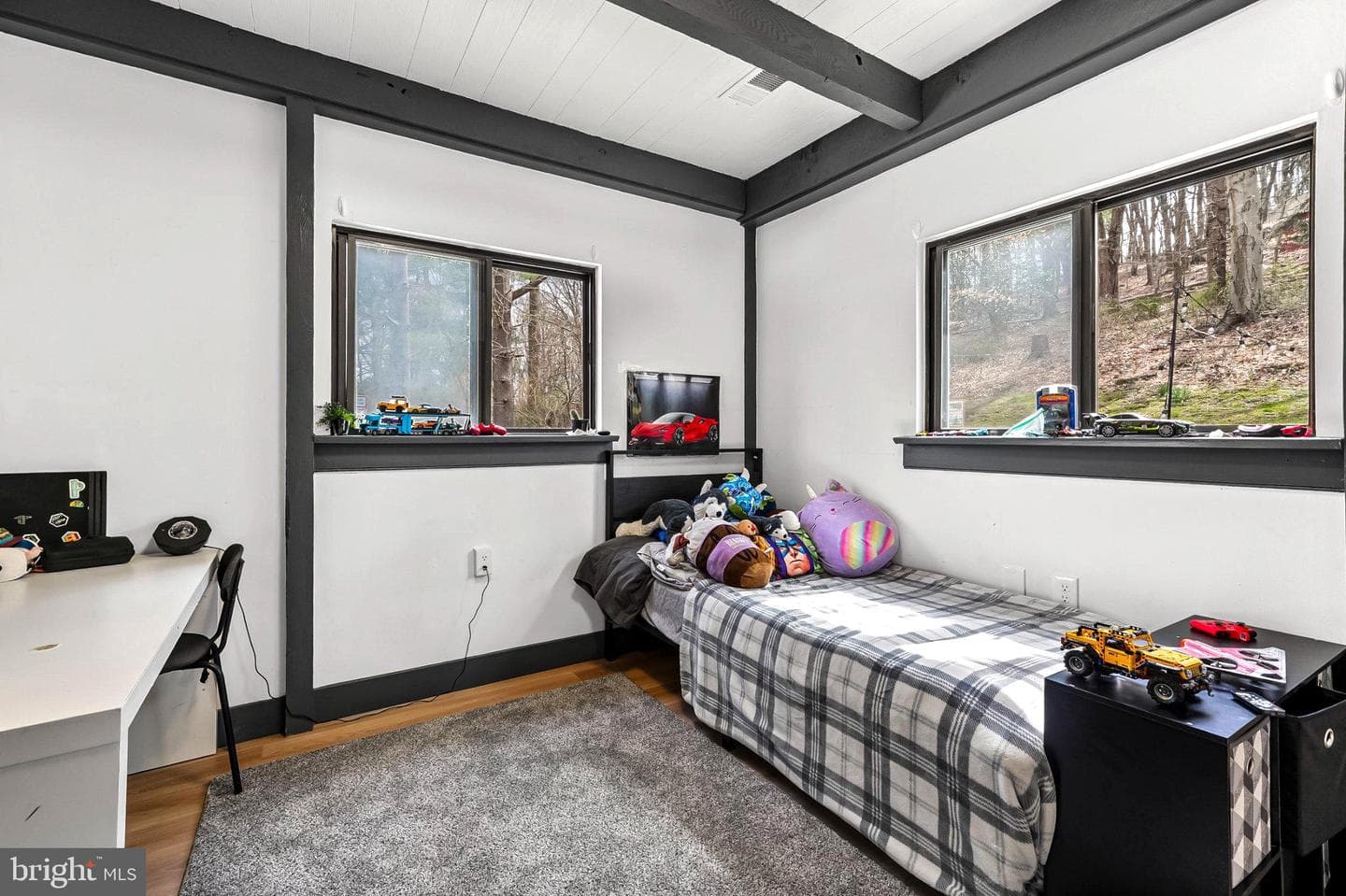928 Stargazers Road photo 19