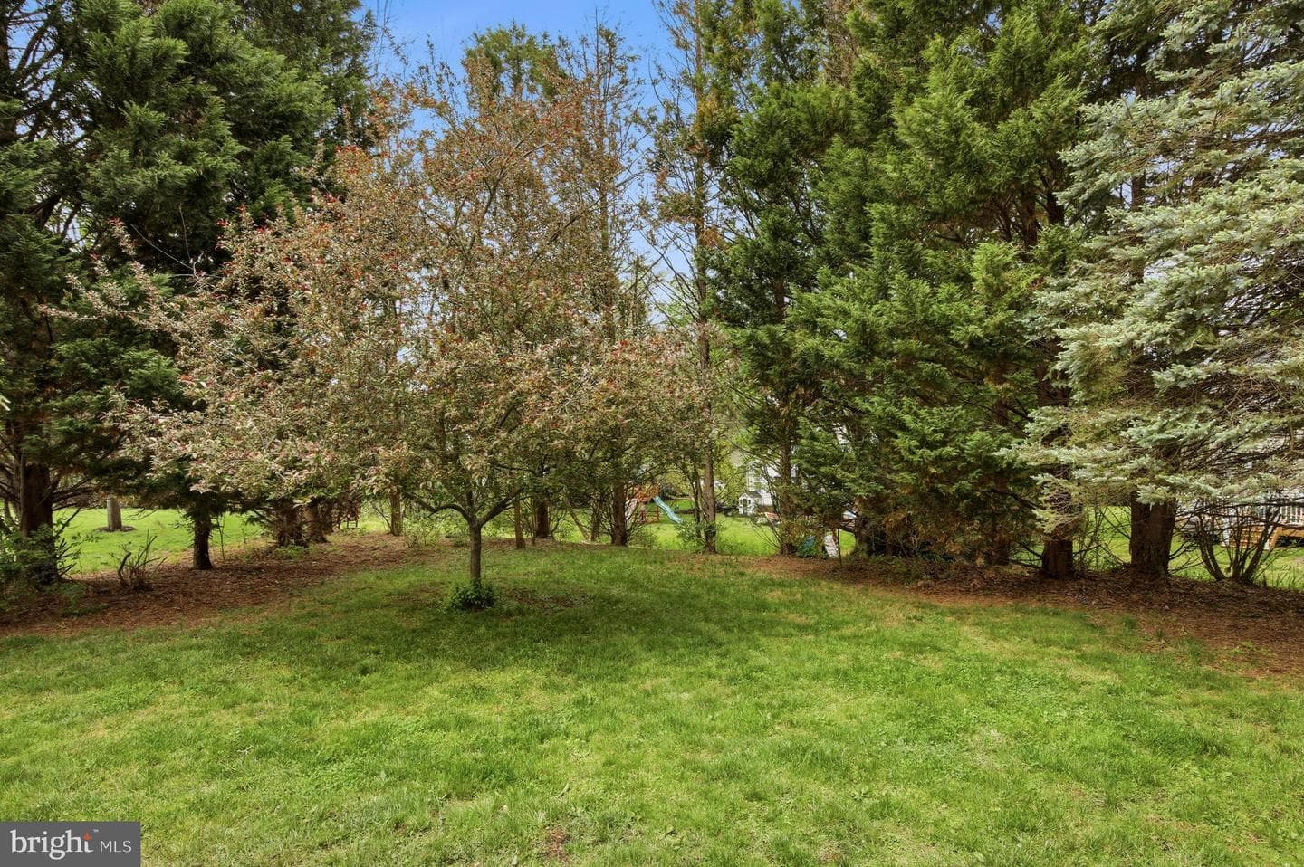 206 Meetinghouse Lane photo 33