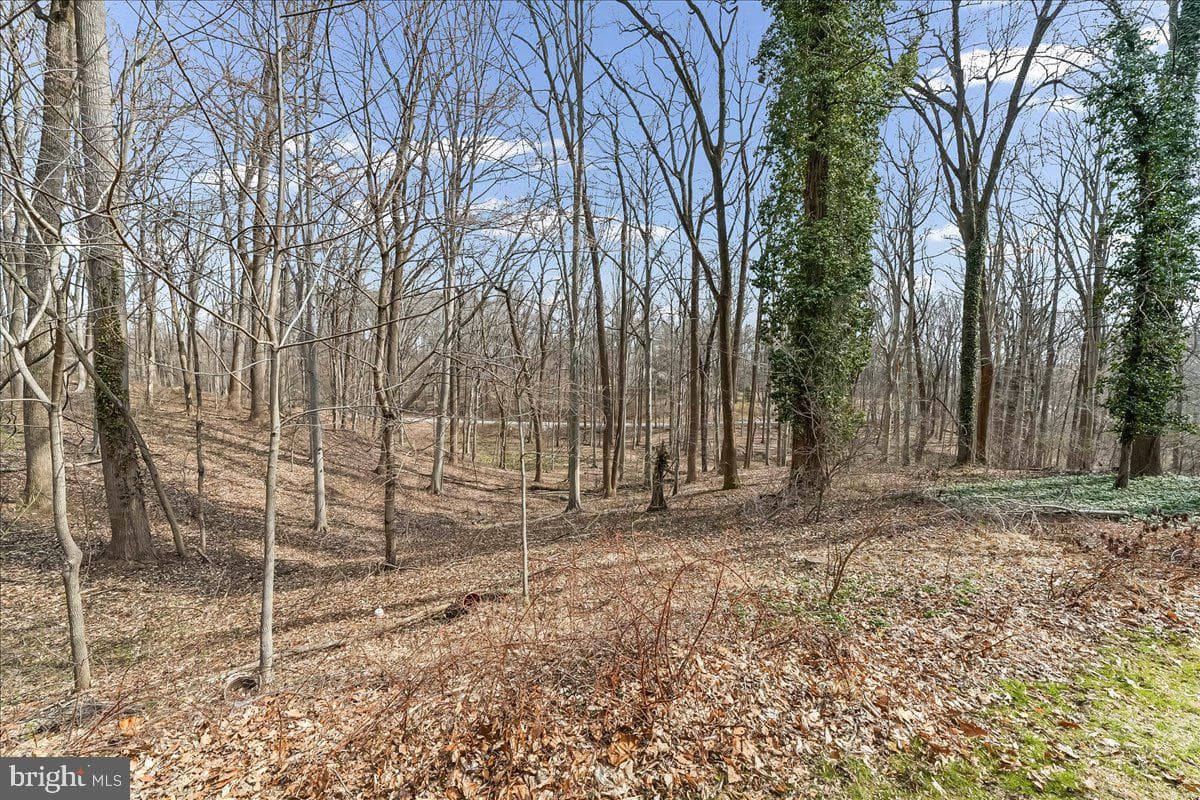 9 Adams Way photo 3