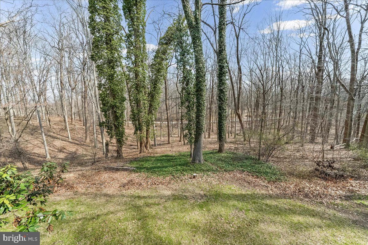 9 Adams Way photo 31