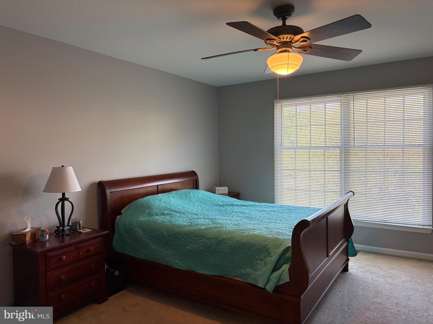 4 Willow Court photo 35
