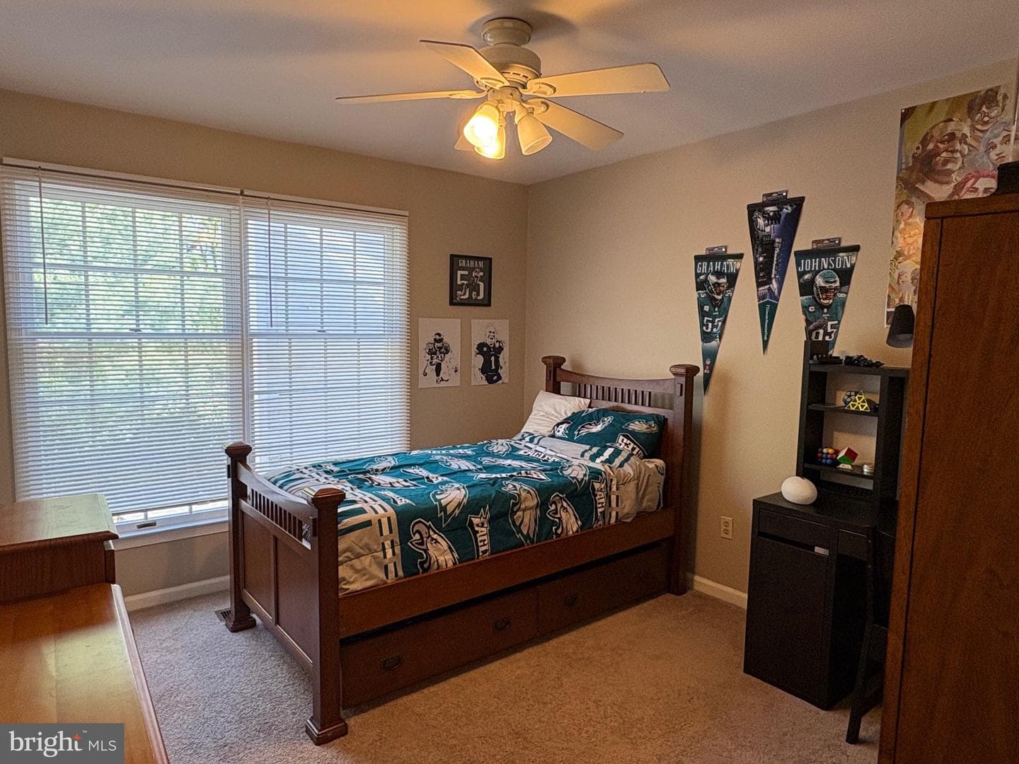 4 Willow Court photo 43