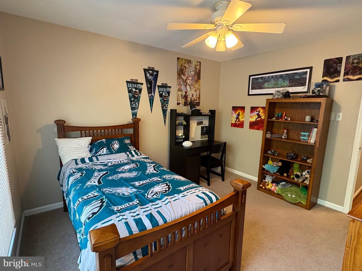 4 Willow Court photo 44