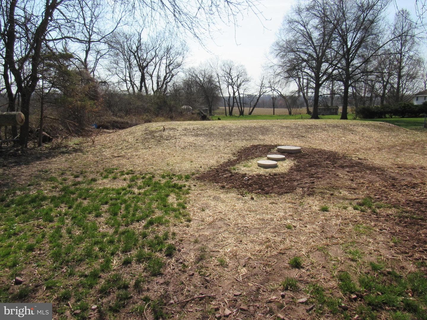 957 Spring City Road photo 51