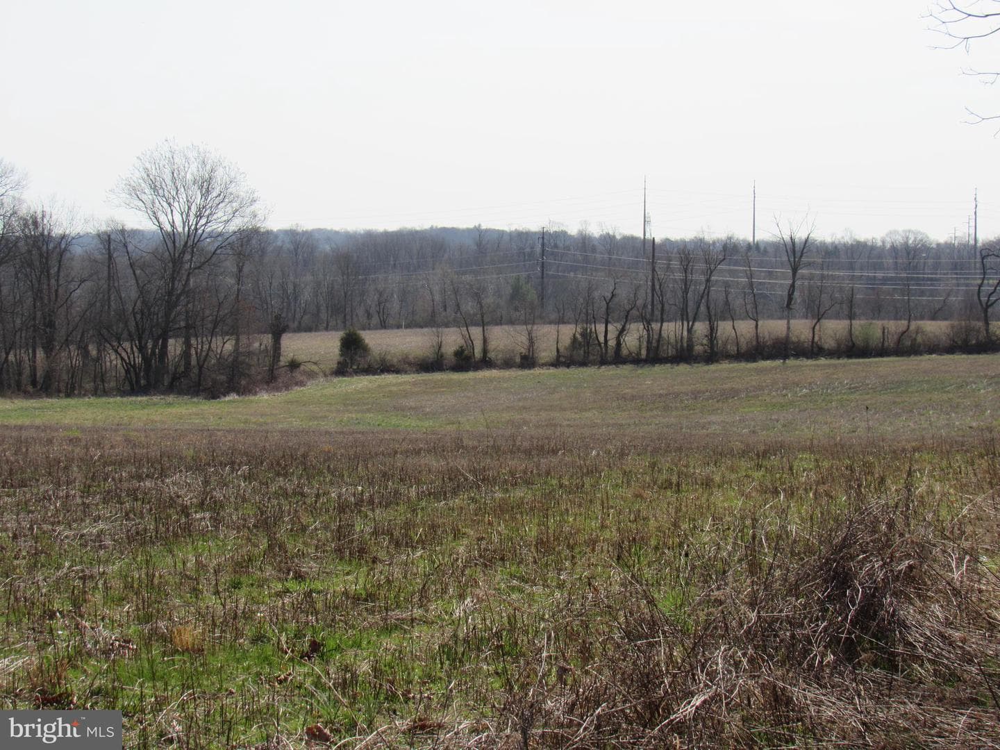 957 Spring City Road photo 52