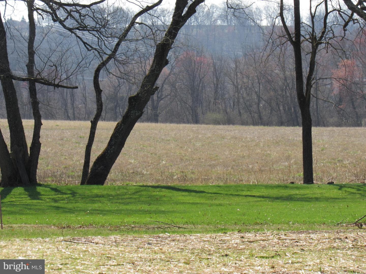 957 Spring City Road photo 53