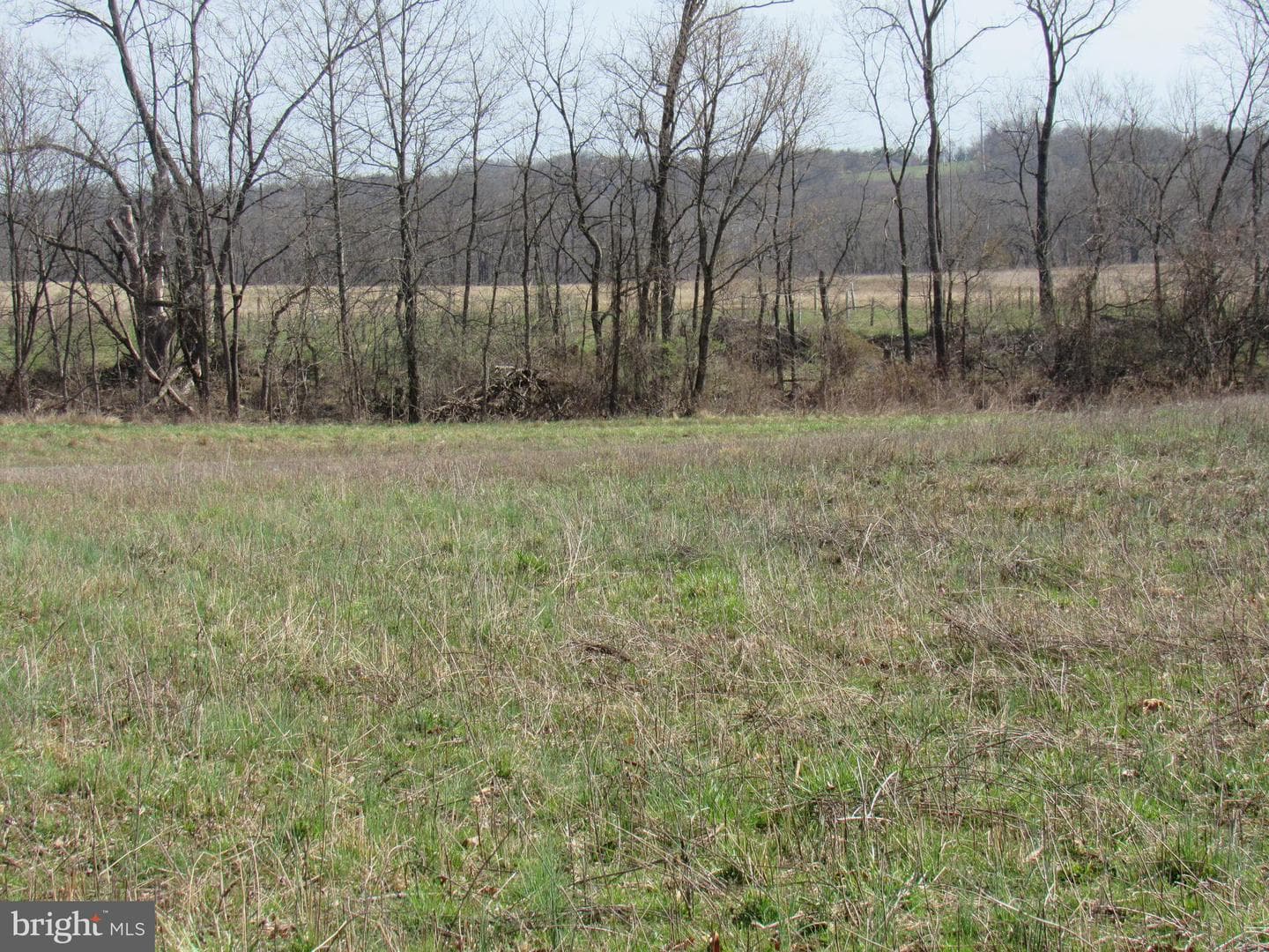957 Spring City Road photo 54
