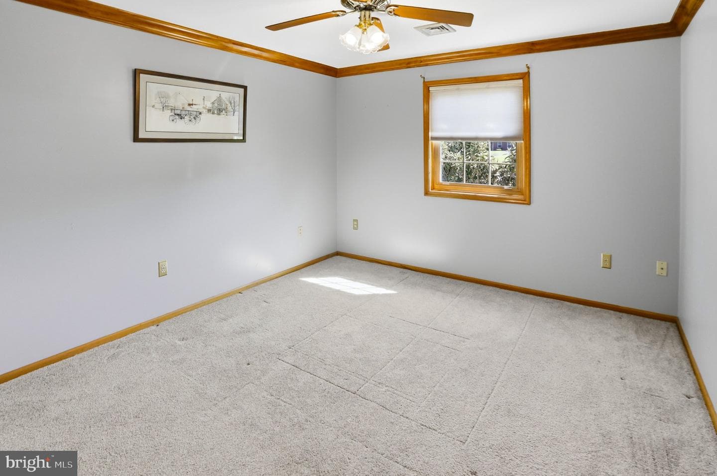 42 Eleanor Drive photo 45