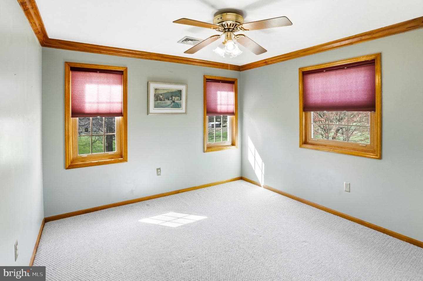 42 Eleanor Drive photo 47