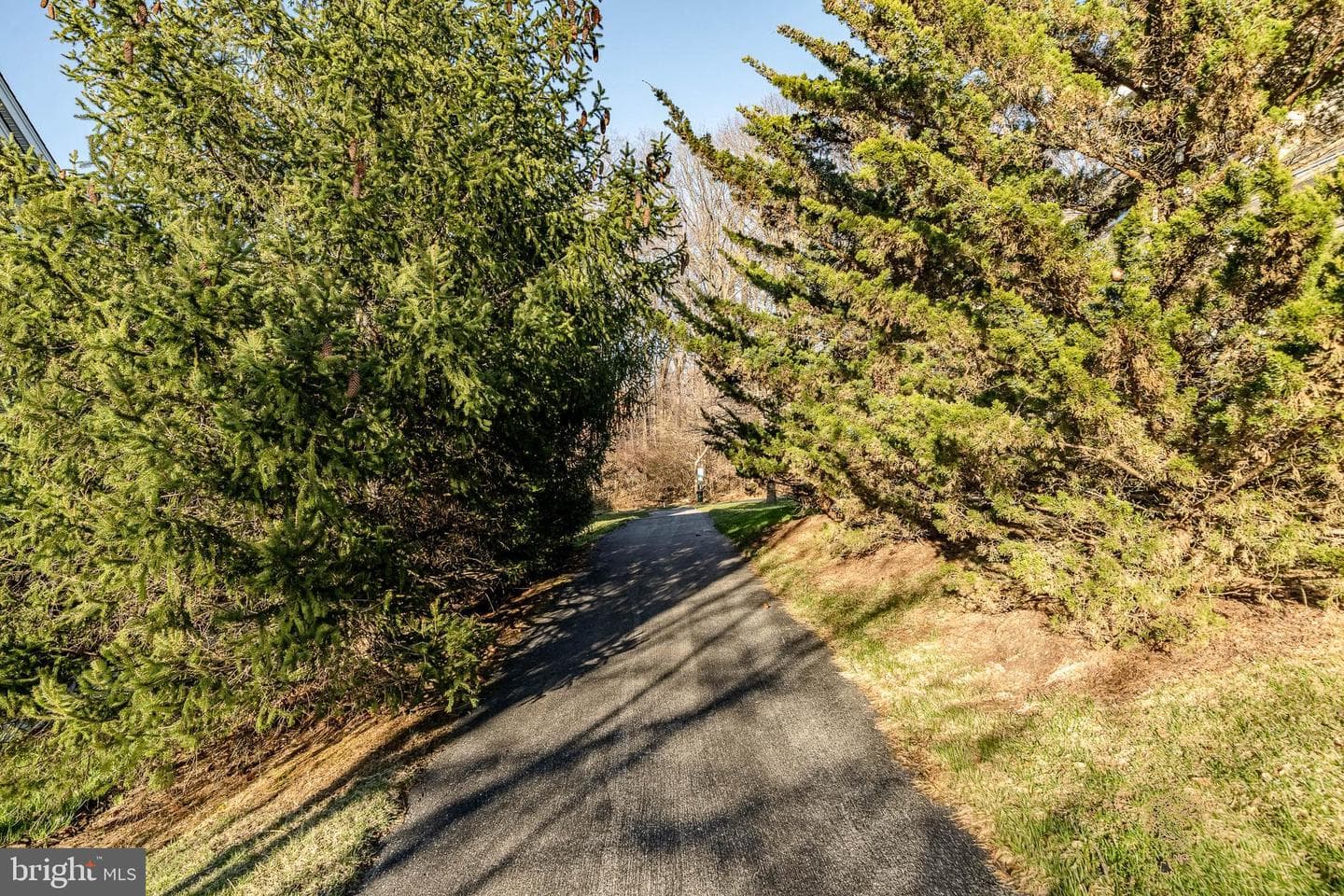 37 Sagewood Drive #14 photo 42