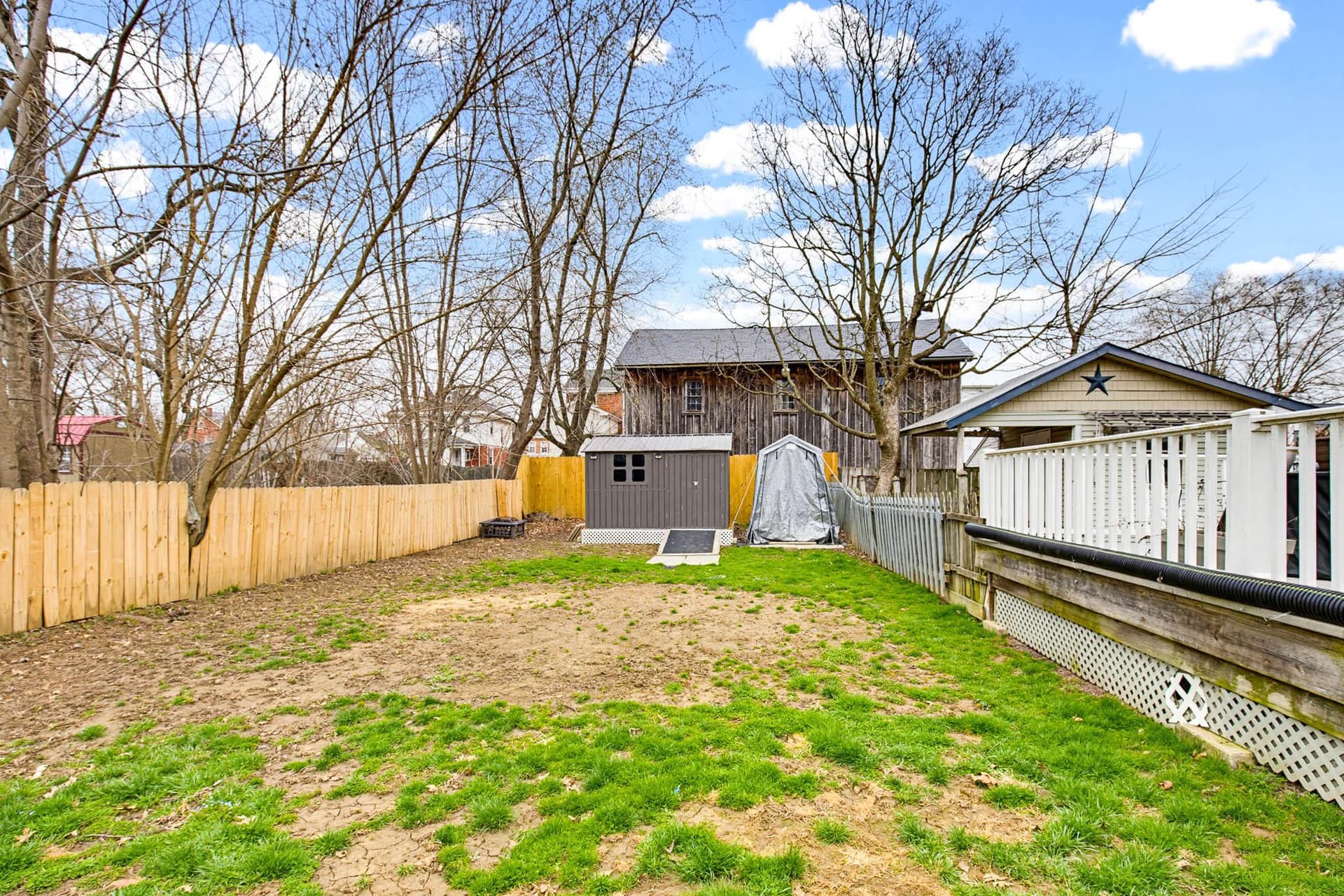 429 Hodgson Street photo 34