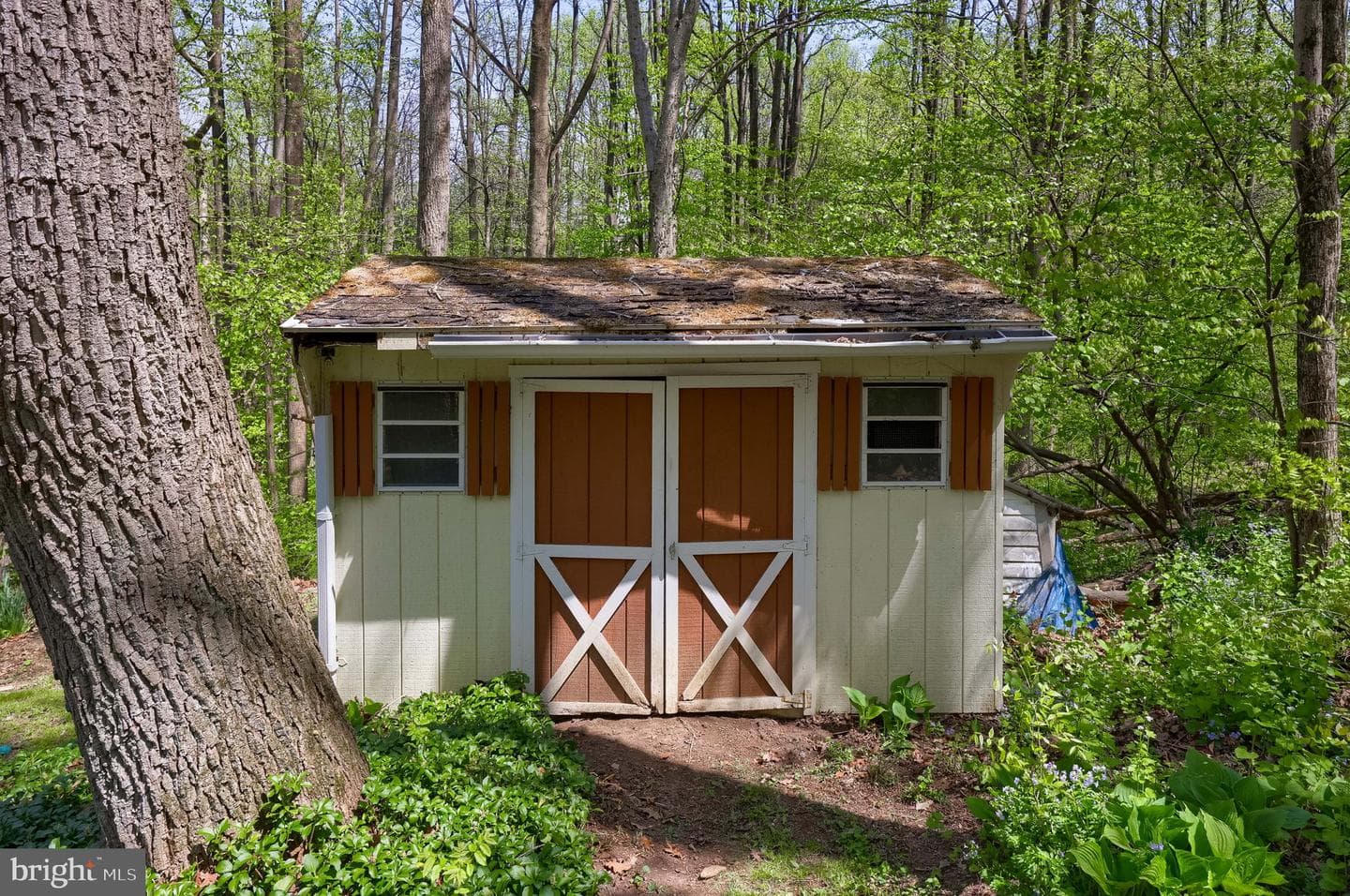 139 Nevins Way photo 17