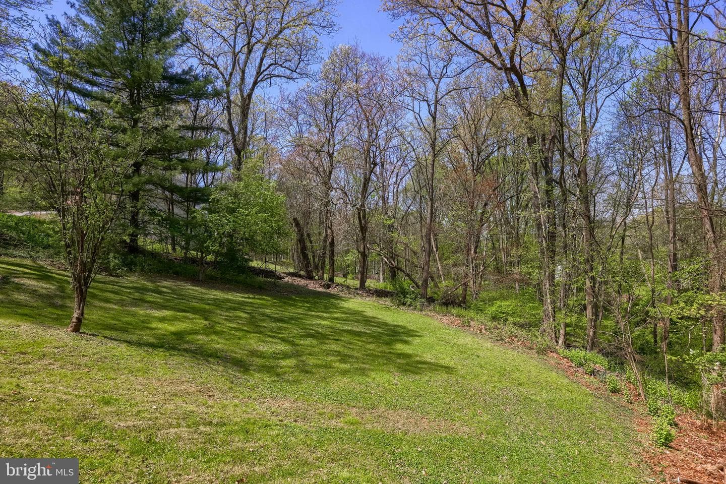 139 Nevins Way photo 21