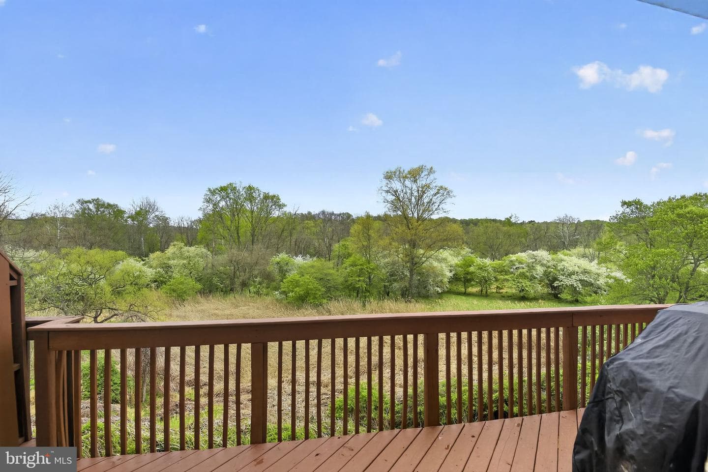 803 Whispering Brooke Drive photo 17