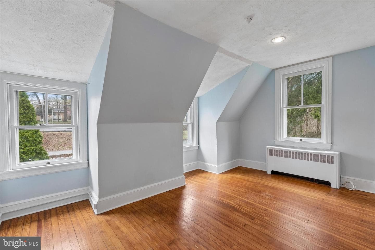 27 Woodbine Avenue photo 21