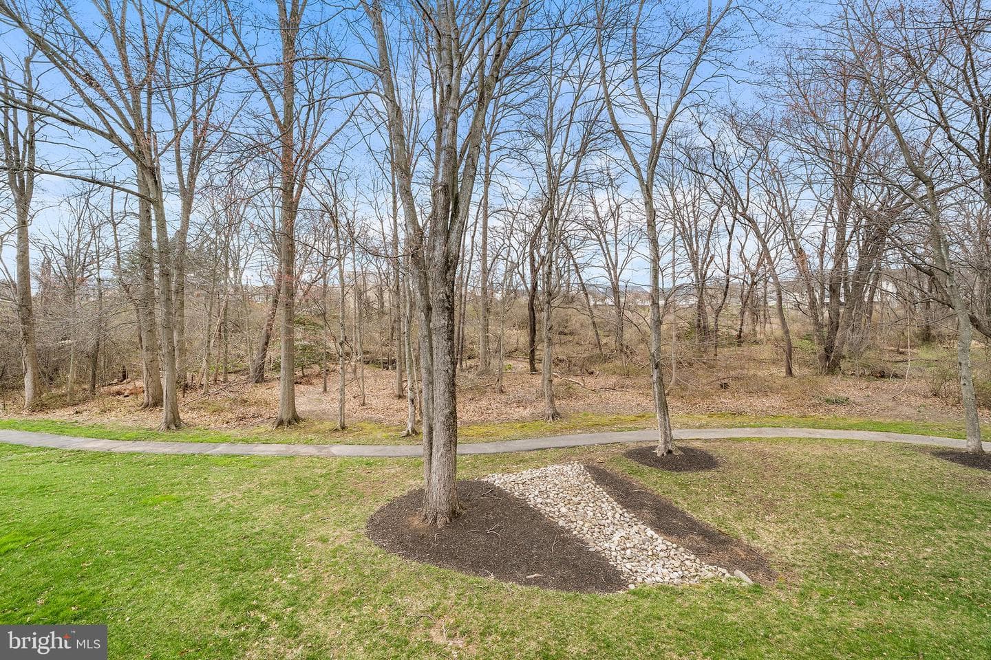 256 Cherry Lane photo 36