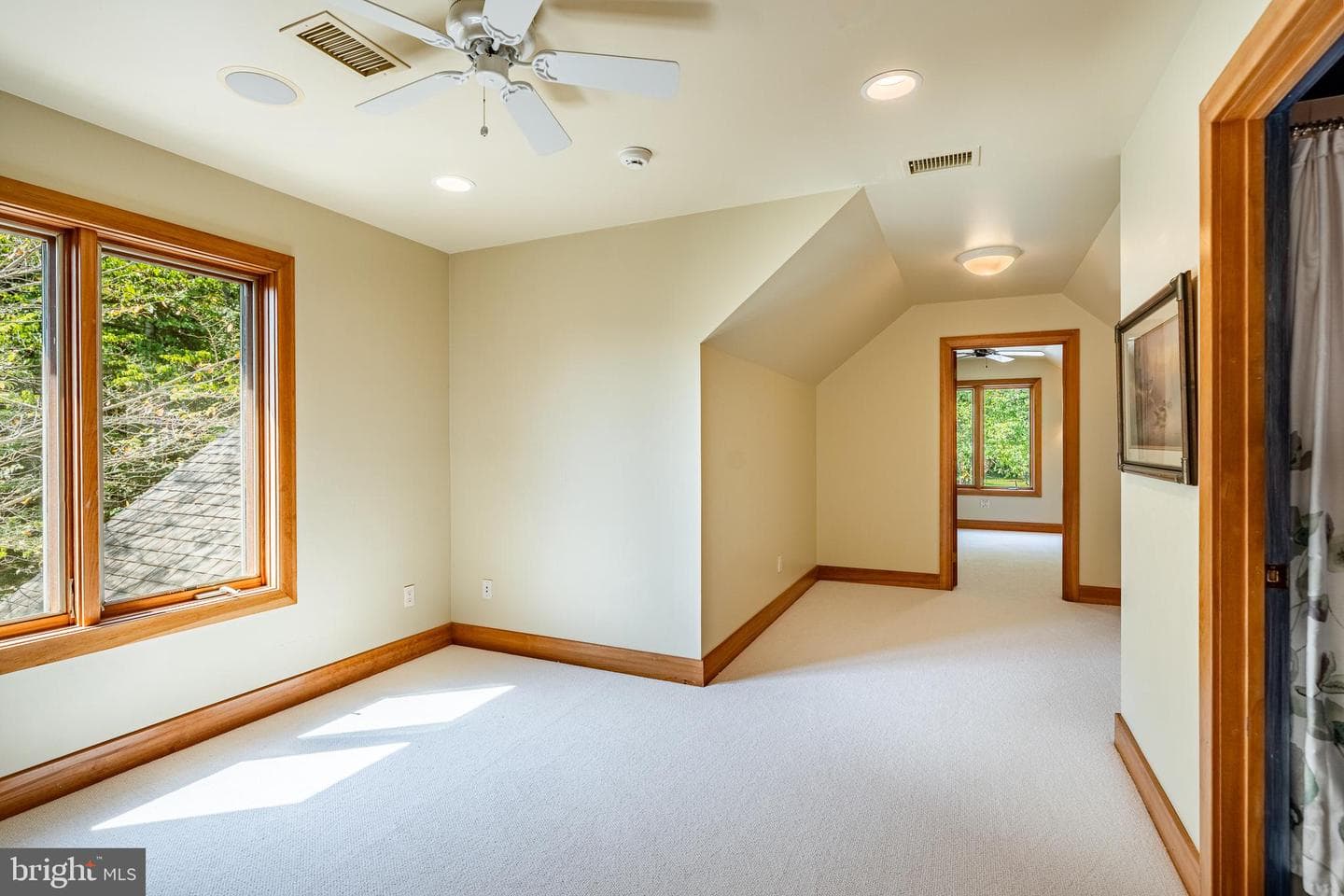 438 Ground Hog College Road photo 63