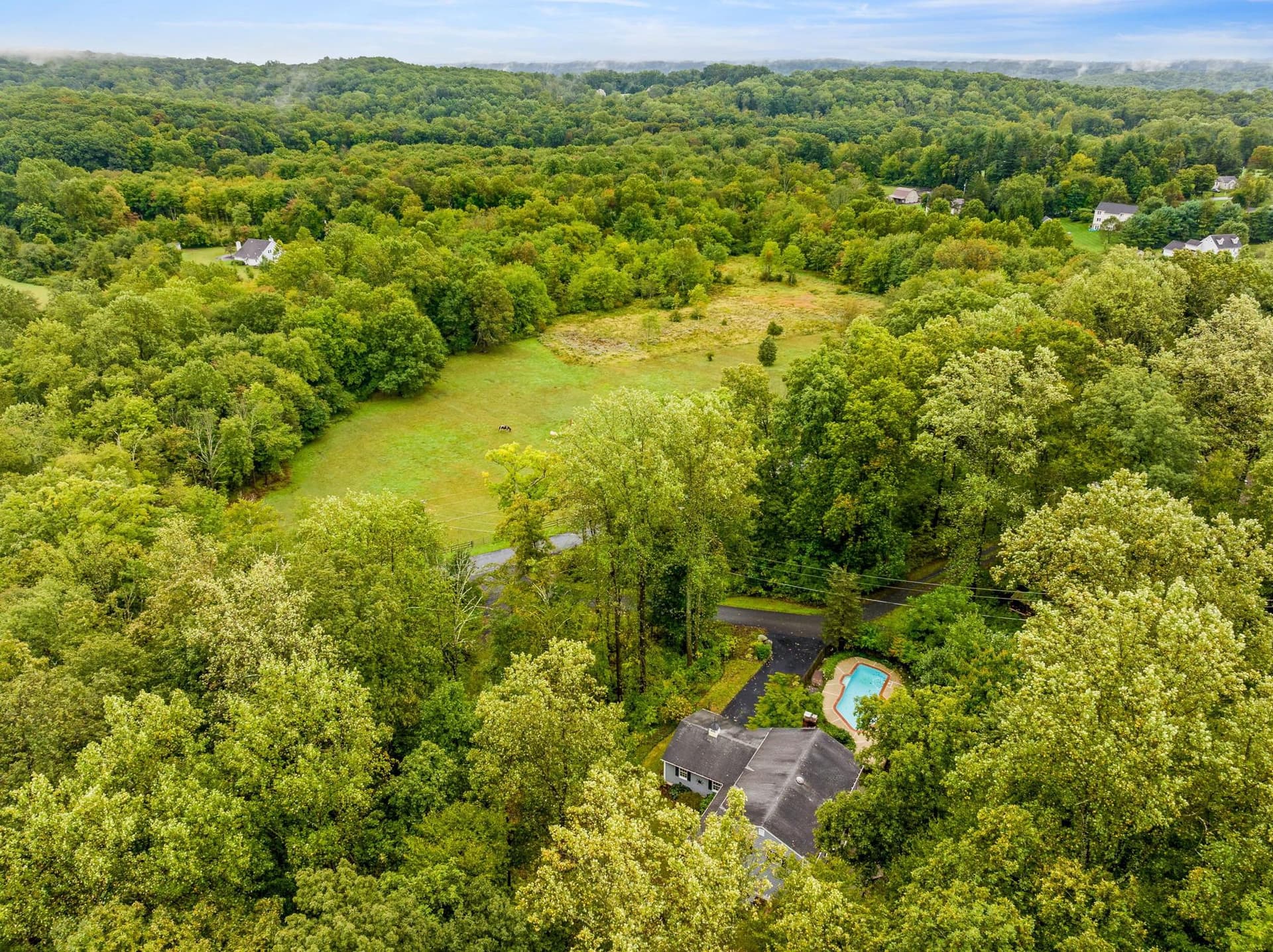 2463 Jones Road photo 32