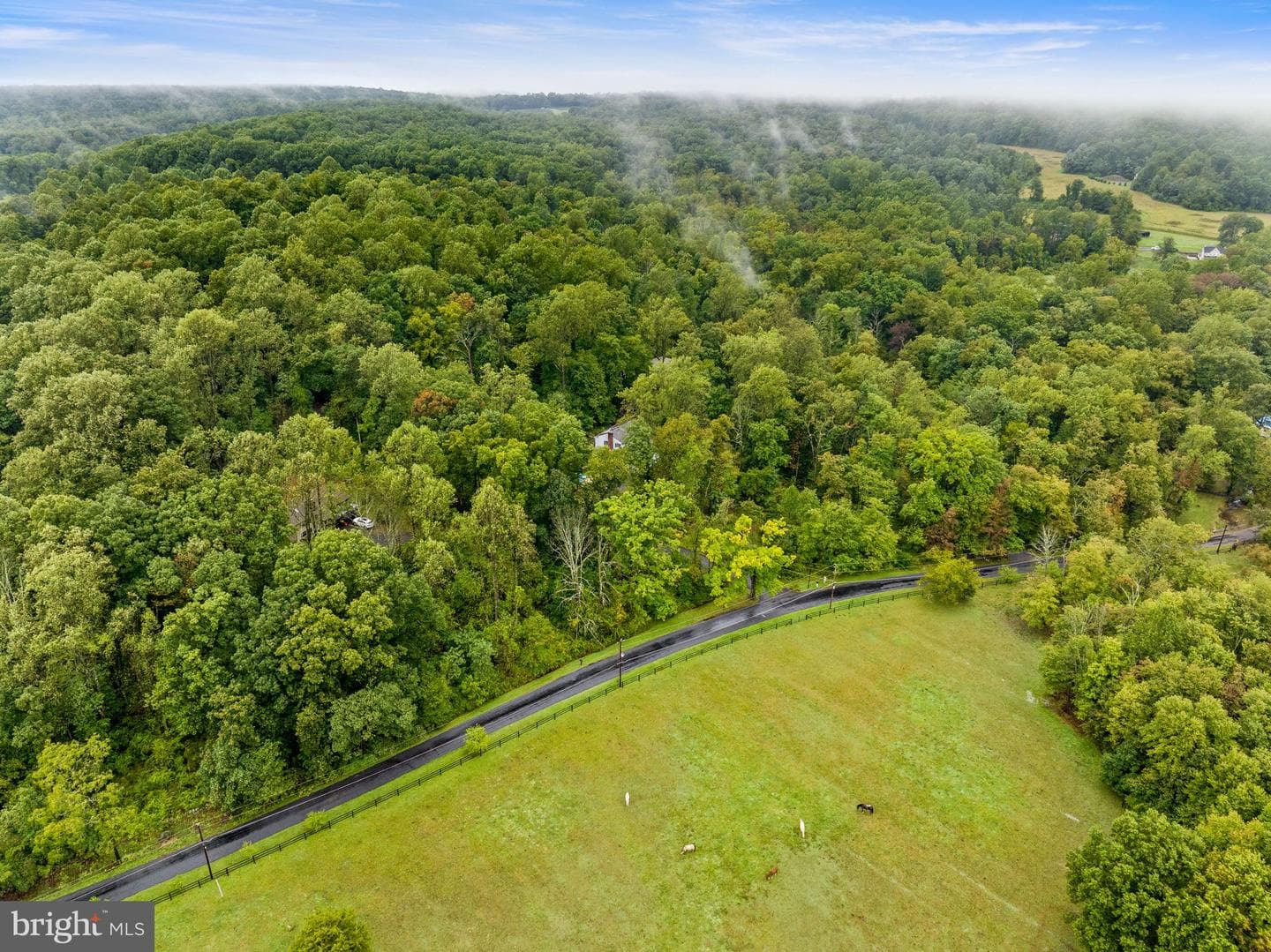 2463 Jones Road photo 33