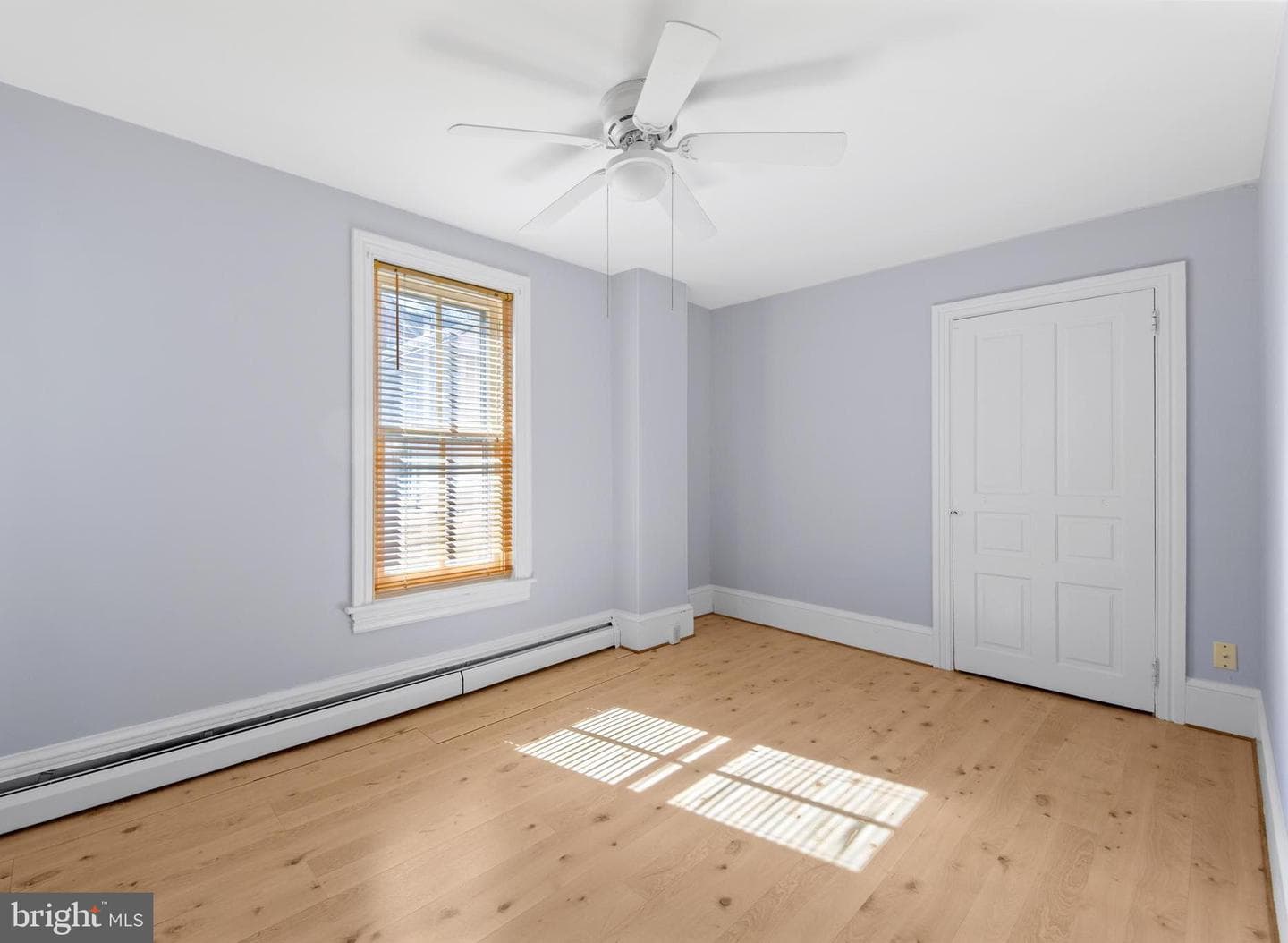 254 Chestnut Street photo 19
