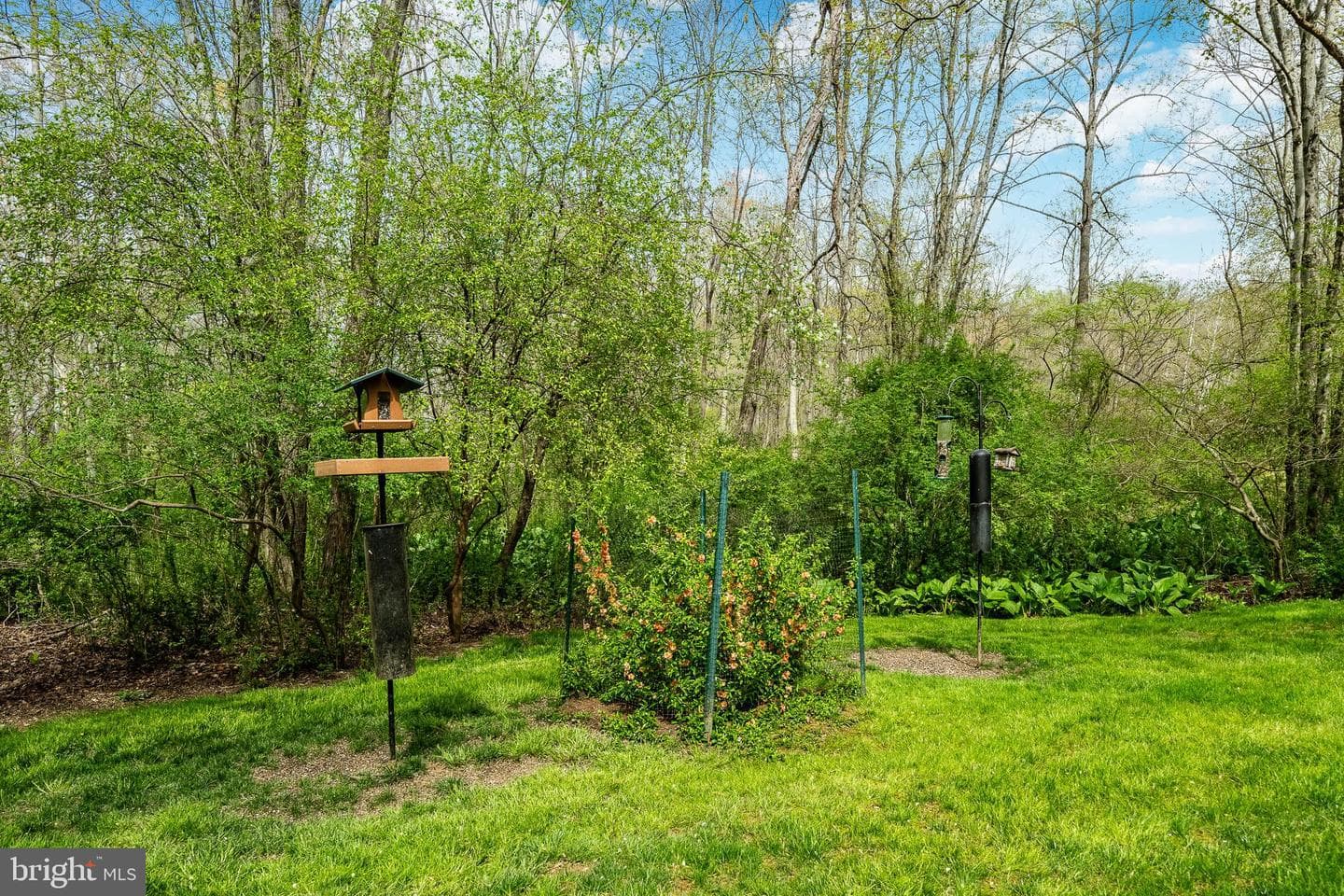 127 Montana Drive photo 87