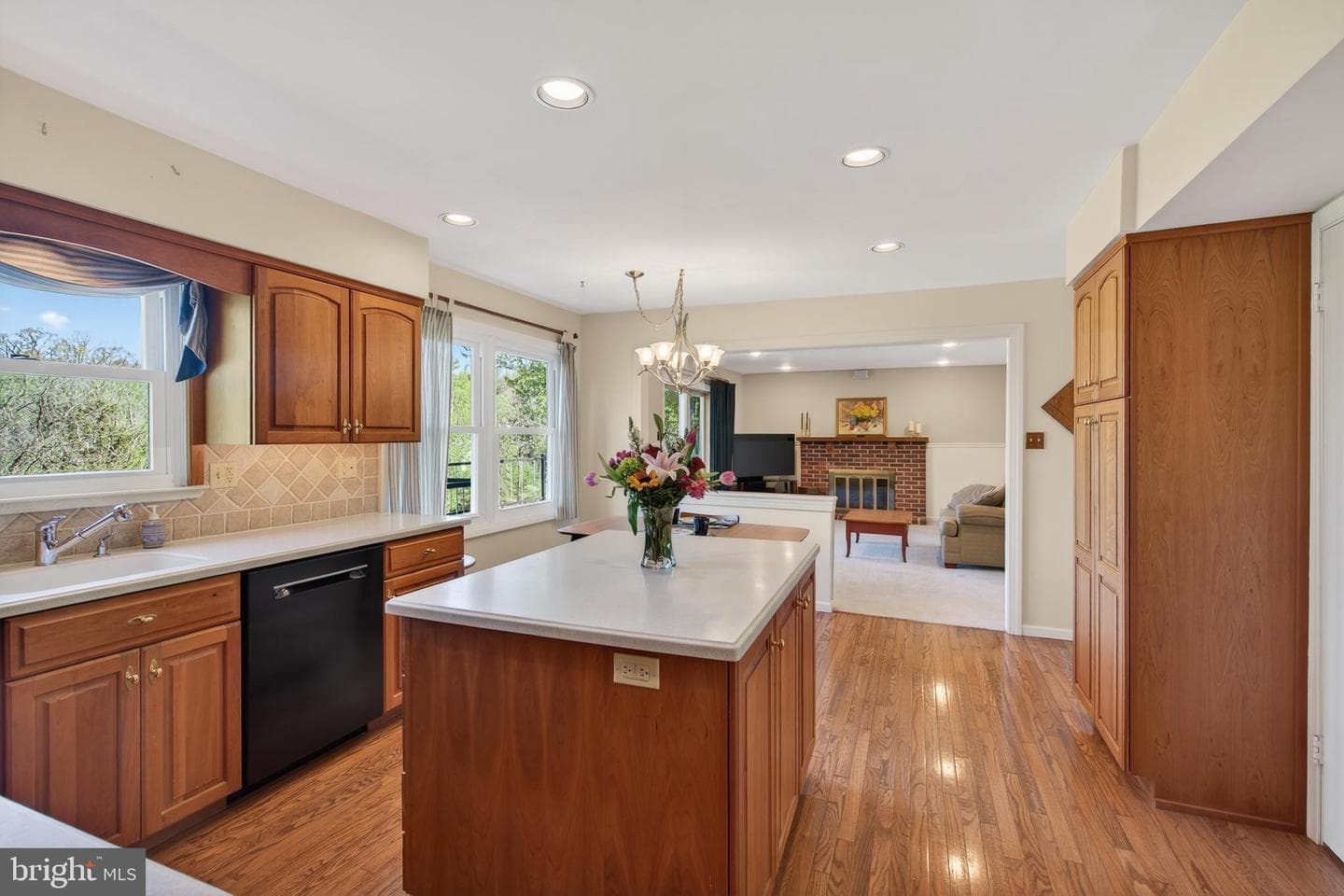 607 Spring Line Drive photo 15