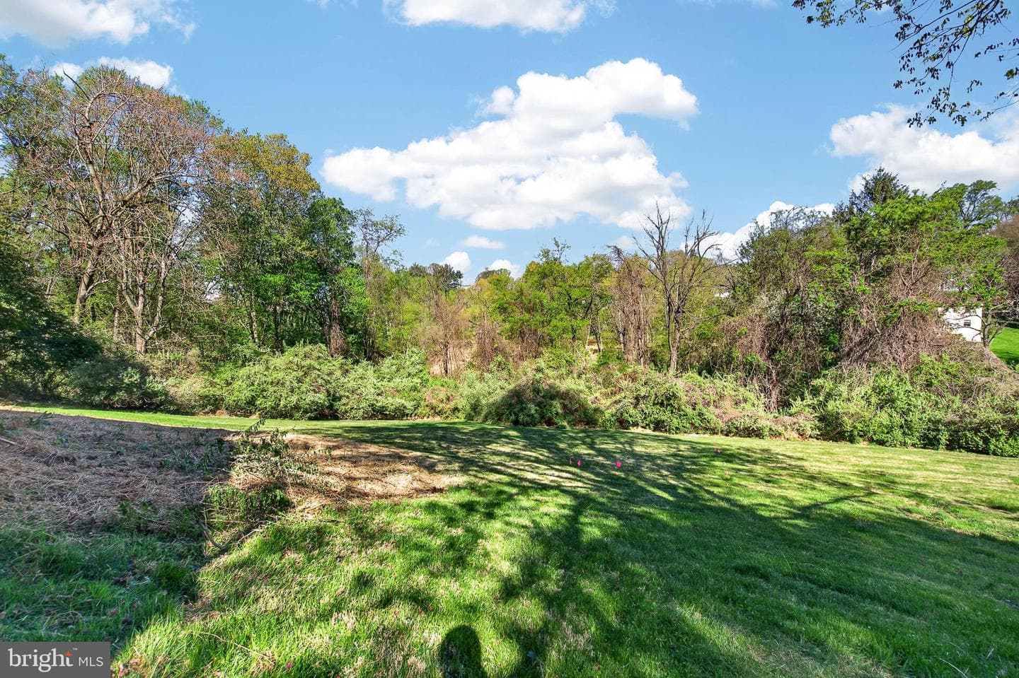 607 Spring Line Drive photo 46