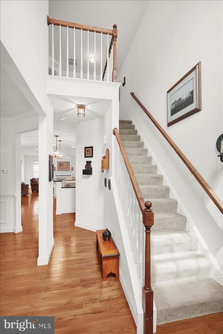238 Merwood Drive photo 8