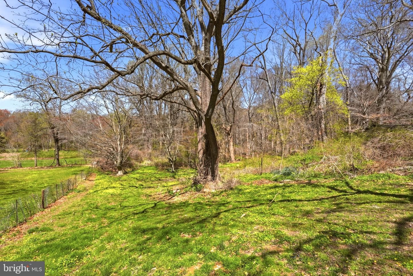 123 E Harmony Road photo 57