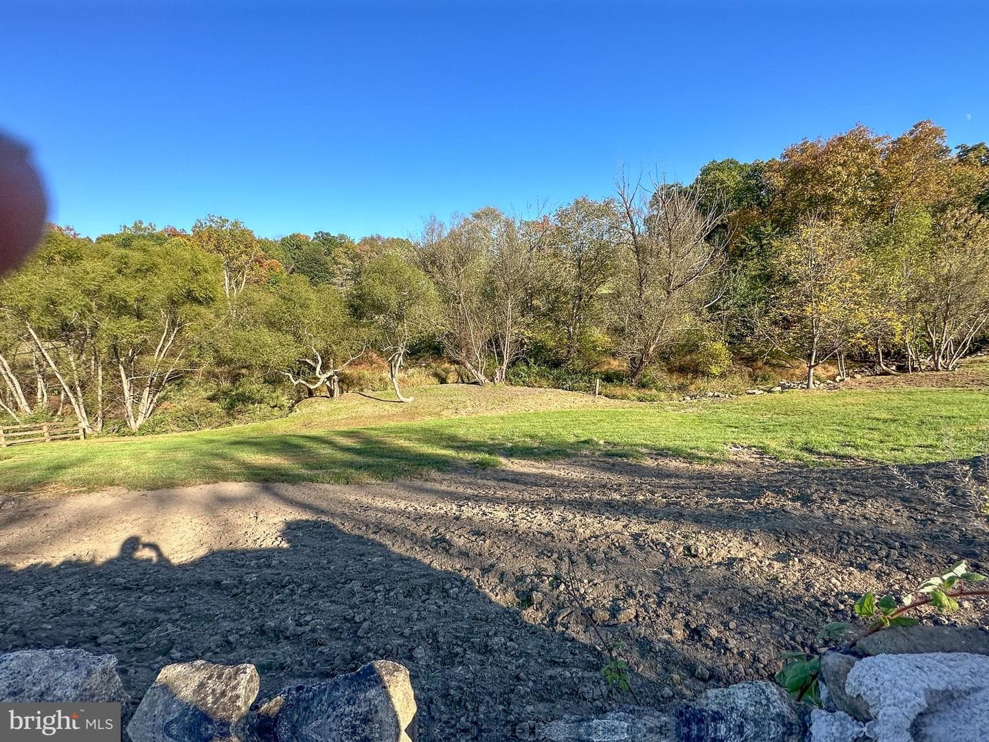 260 Moore Rd photo 8