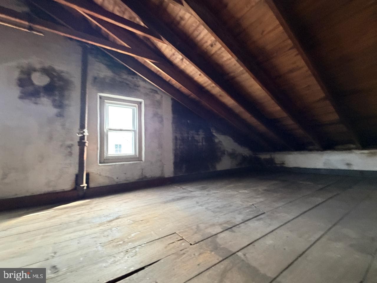 131 Bradford Avenue photo 22