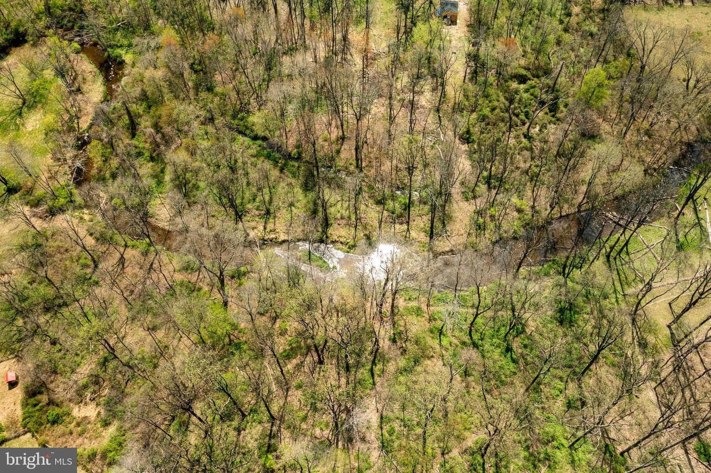835 County Park Road photo 82