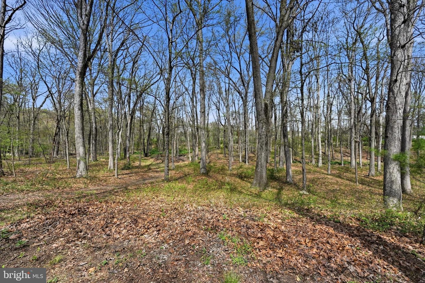 115 Windy Hill Road photo 32