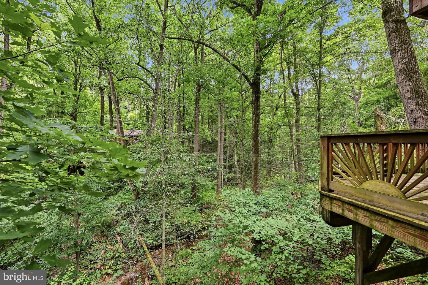 1672 Suzanne Drive photo 16
