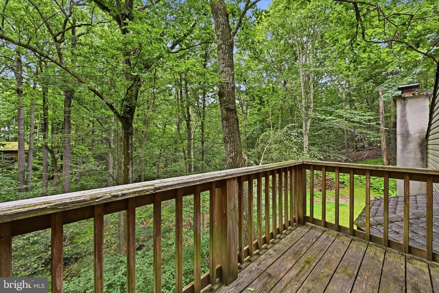 1672 Suzanne Drive photo 24
