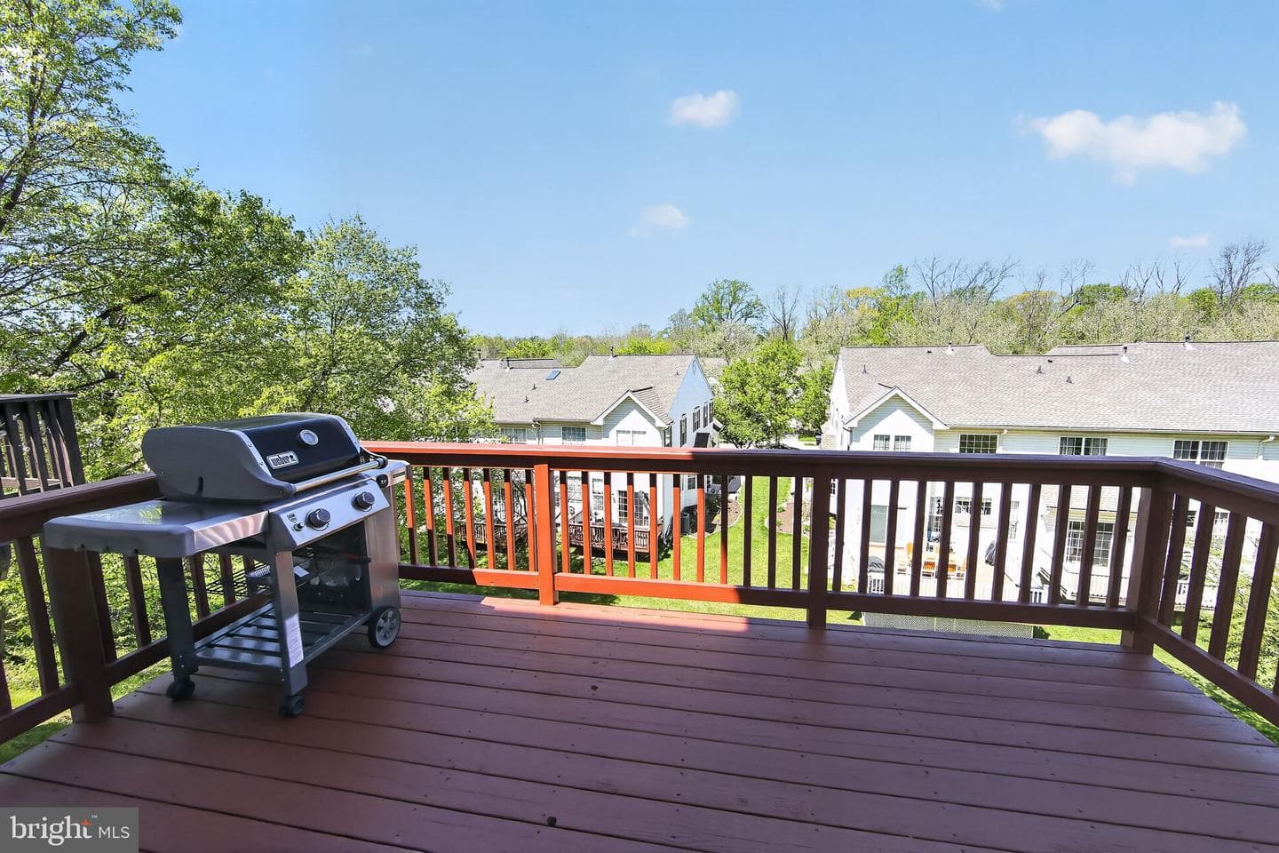 157 Fringetree Drive photo 16