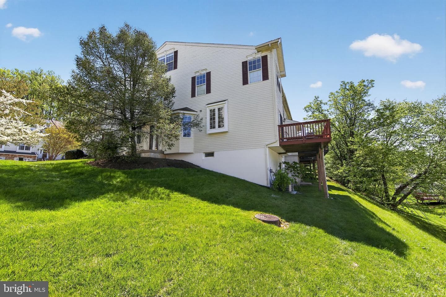 157 Fringetree Drive photo 38