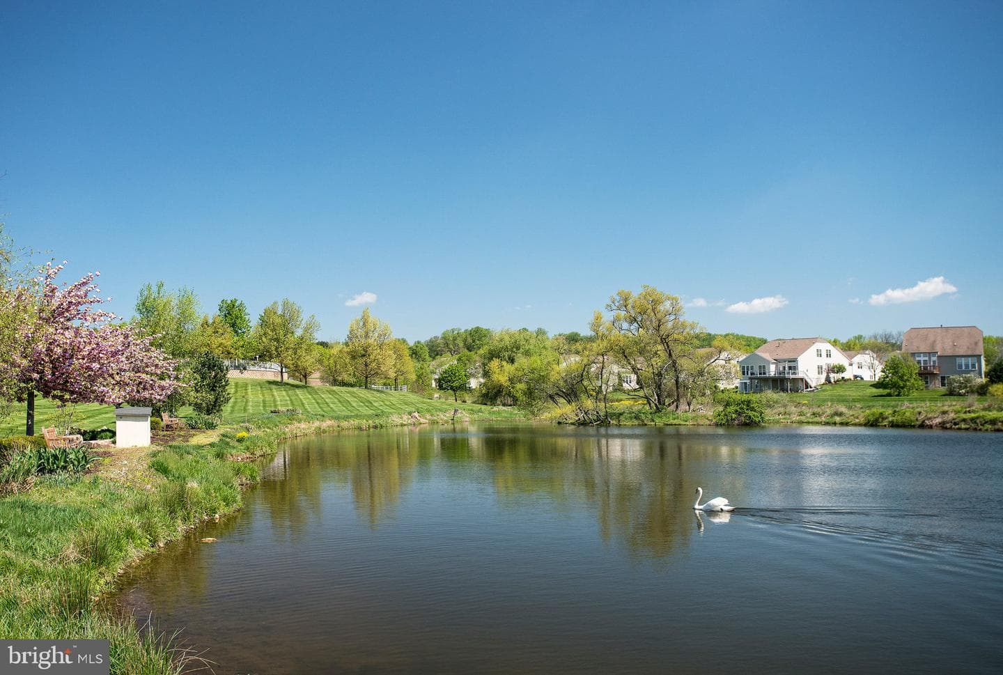 133 Violet Drive photo 42